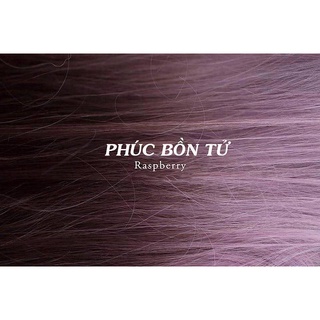 Thuốc Nhuộm Tóc Màu PHÚC BỔN TỬ