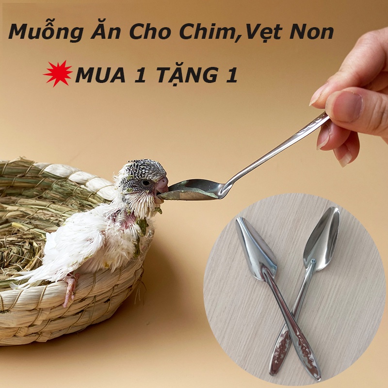 (MUA 1 TẶNG 1) Muỗng Ăn Bằng Thép Không Gỉ,Muỗng Đút Bột Cho Chim,Vẹt Non