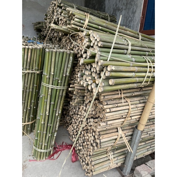 Cây tre trúc làm hàng dào, vườn rau, dàn cây leo, cán cờ, trang trí sân vườn