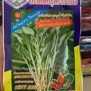HẠT GIỐNG RAU MUỐNG THÂN TRẮNG THÁI LAN