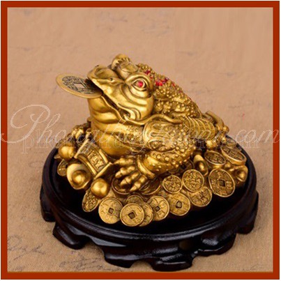 Thiềm Thừ đồng(Cóc 3 Chân) tặng (đế kê gỗ + xu rời ngậm ,bột ngũ vị bao sái(video) | BigBuy360 - bigbuy360.vn