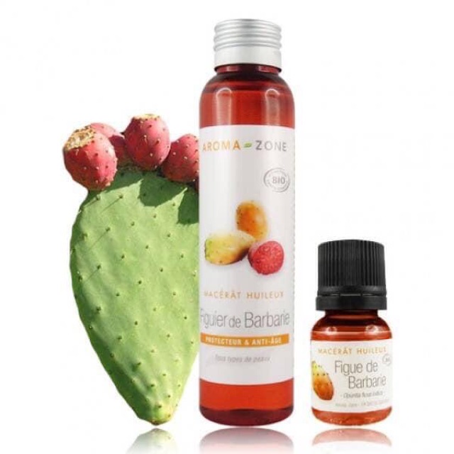 Dầu hạt xương rồng prickly seed oil aroma zone