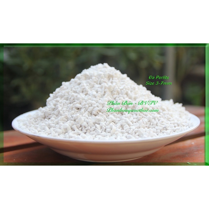 Perlite - Đá Trân Châu Giàu Khoáng,Trồng Sen Đá,Hoa Sứ, Xương Rồng,Cây Cảnh...