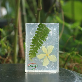 (HCM) Phôi Xà Phòng Dầu Hữu Cơ ( Organic Oils Melt & Pure Soap Base )
