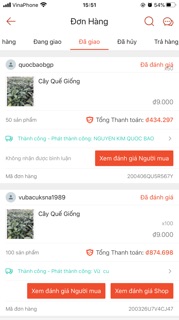 Cây Quế Giống