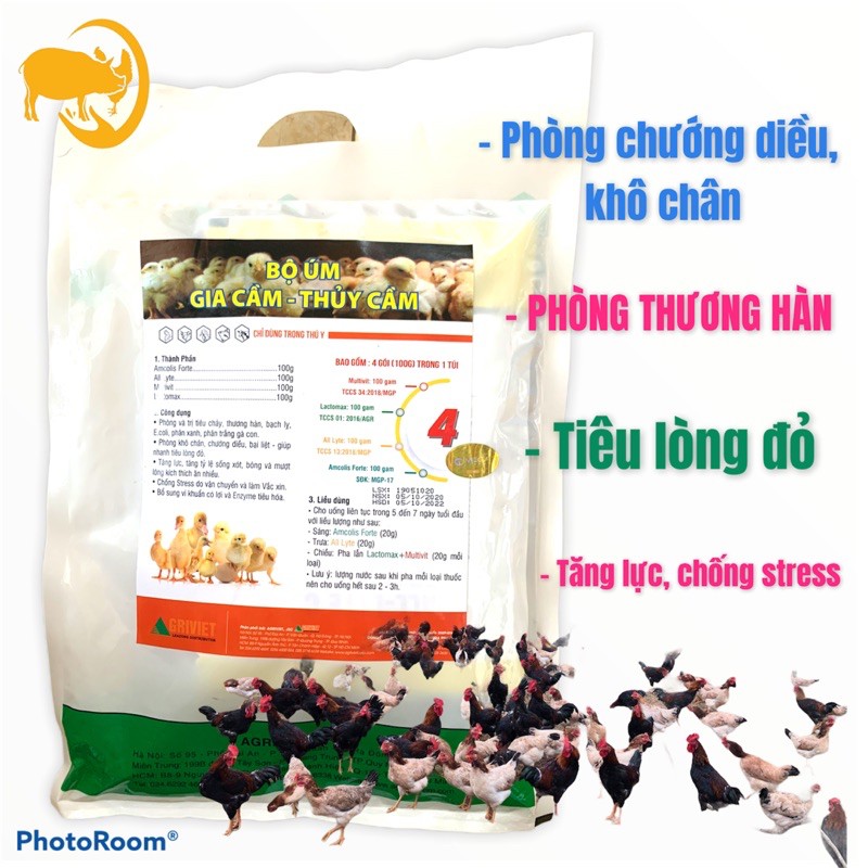 Bộ úm ngan, gà, vịt. Tăng lực, hạn chế thương hàn, tiêu chảy, chống stress, tiêu hoá tốt gói 4 trong 1