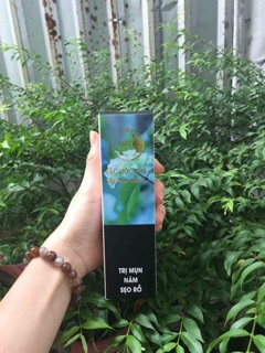 Sắc mộc thảo