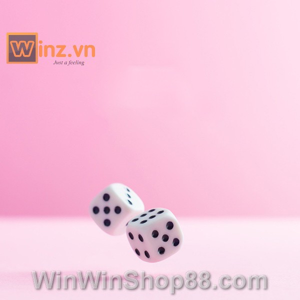 Combo 2 Bộ 6 Xúc Xắc Xí Ngầu Chất Lượng Cao - Winz.vn