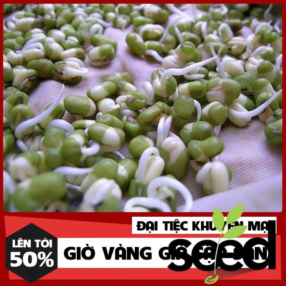 100 Gram Hạt Mầm Giá Đậu Xanh Phú Nông