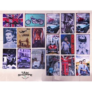 Tranh thiếc Vintage các kiểu size 30x20cm số 14 TTTM