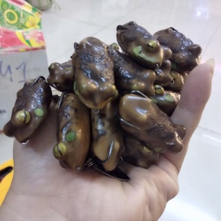 Nhái giả frogtun V4
