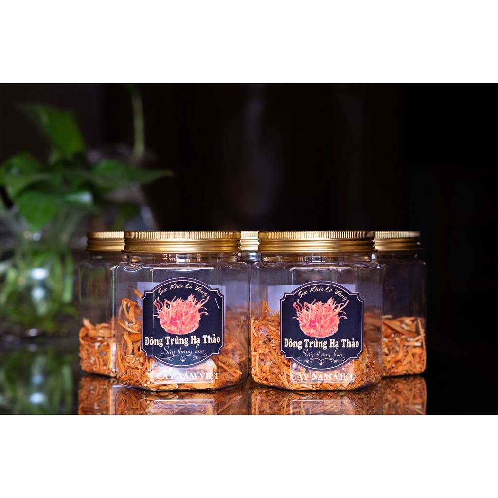 10g Đông Trùng Hạ Thảo khô sấy thăng hoa loại vụn - Cây Nấm Việt | BigBuy360 - bigbuy360.vn