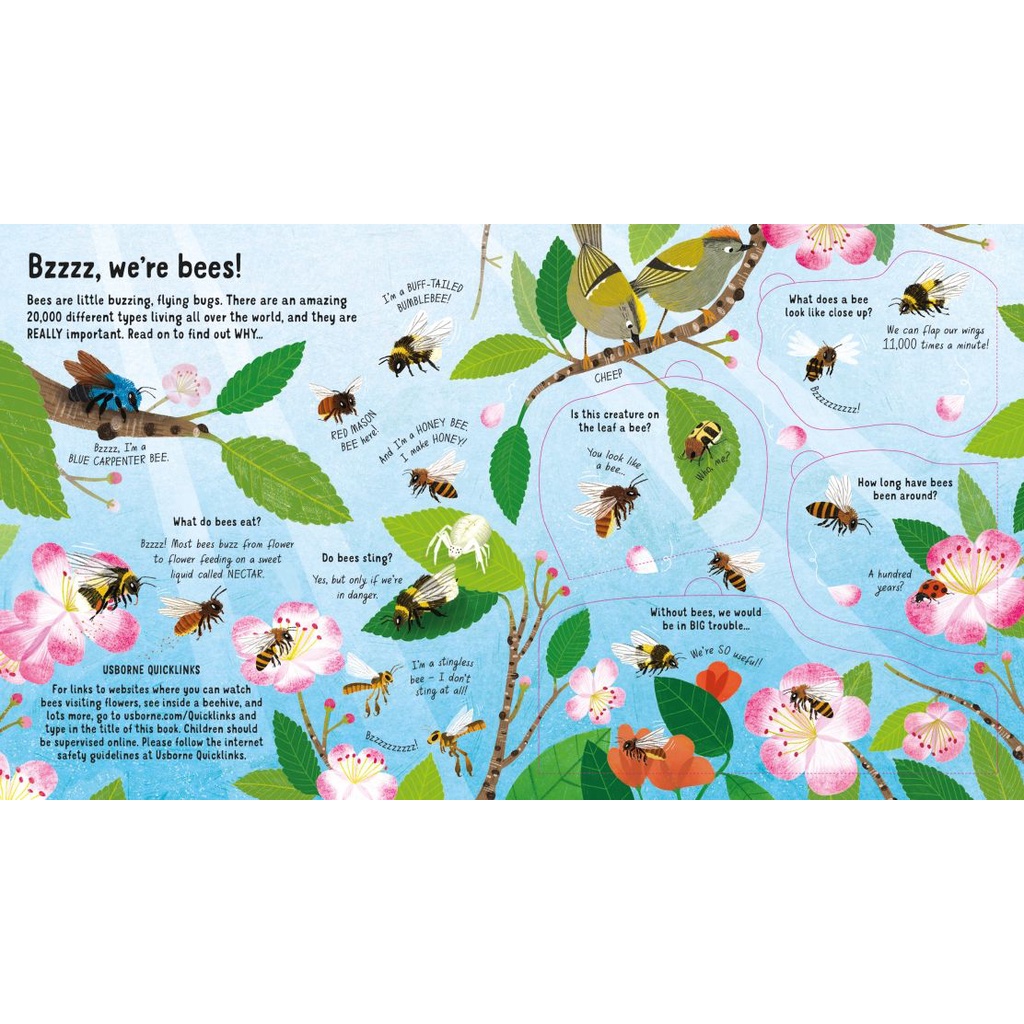 Sách Usborne - Look Inside the World of Bees - lật mở tương tác tìm hiểu về loài ong