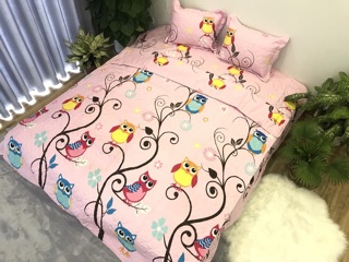 Bộ chăn ga gối poly chần bông