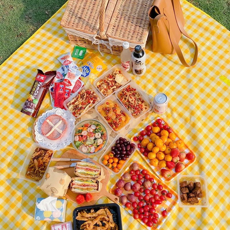 [Size 145x180cm] Bạt trải cắm trại xếp gọn, thảm trải đi phượt, picnic vải Oxford chống thấm có quai xách cao cấp #C581