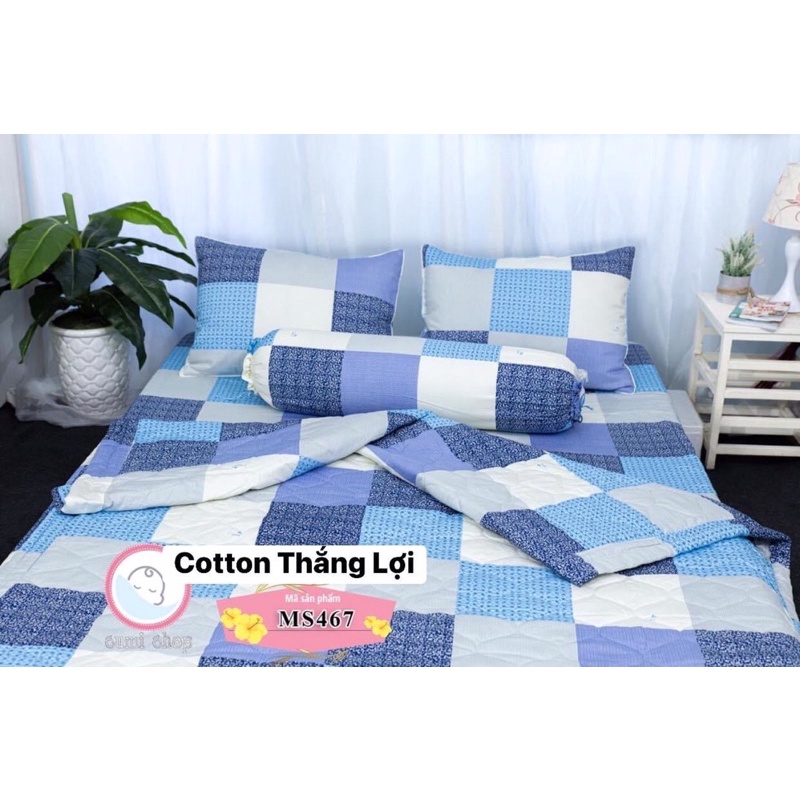 Drap cotton 100% Thắng Lợi, ga giường chính hãng thoáng mát mẫu CARO BIỂN