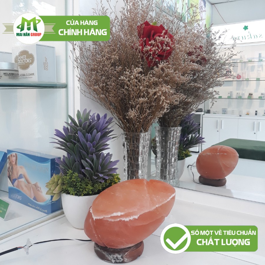 Đèn Đá Muối Himalaya Trang Trí Hình Bóng Bầu Dục
