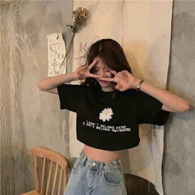 Croptop hoa cúc