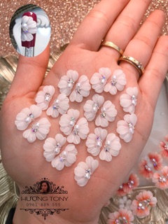 cuc ruby _ Hoa bột nail