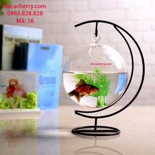 Bể Cá Mini Cung Trăng 16 Cỡ To ( Tặng kèm combo phụ kiện trang trí )
