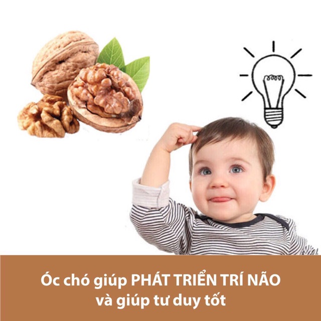 NHÂN HẠT ÓC CHÓ ĐÃ TÁCH VỎ MỸ 400GR