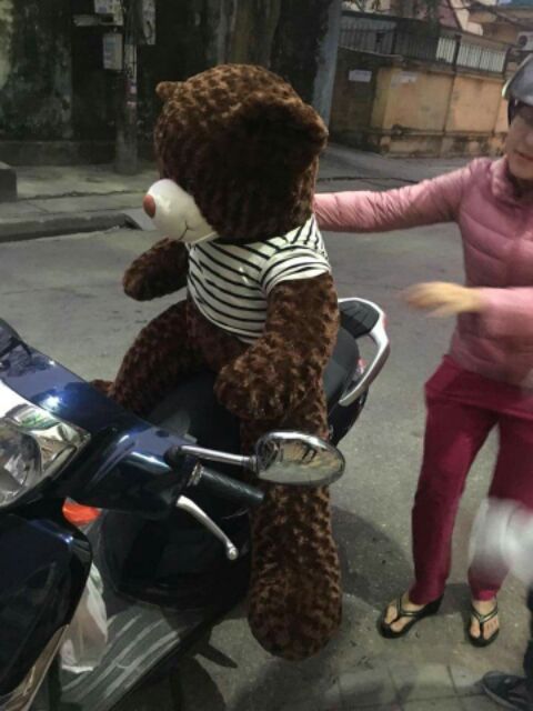Gấu bông m5 vải may