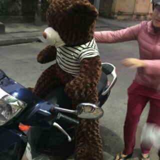 Gấu bông m5 vải may