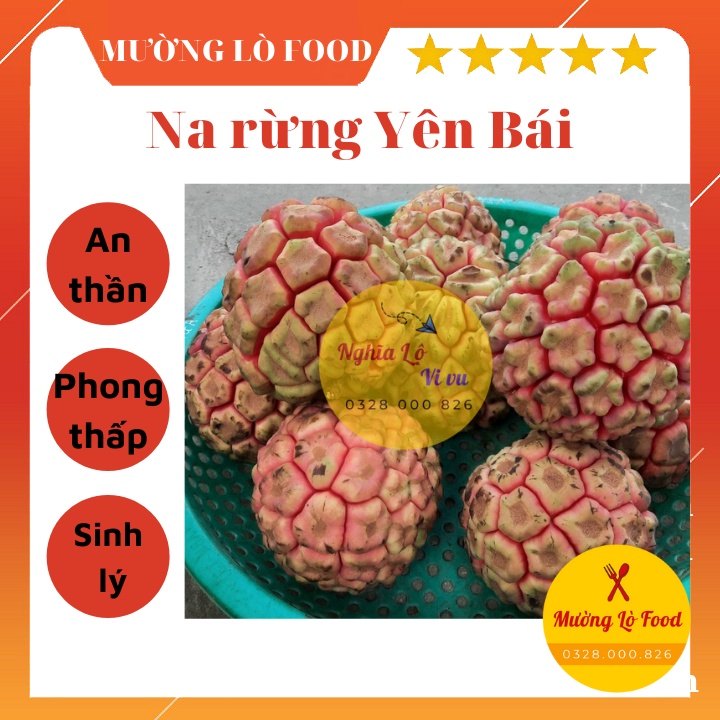 Na rừng thiên nhiên - Thảo dược Tây Bắc