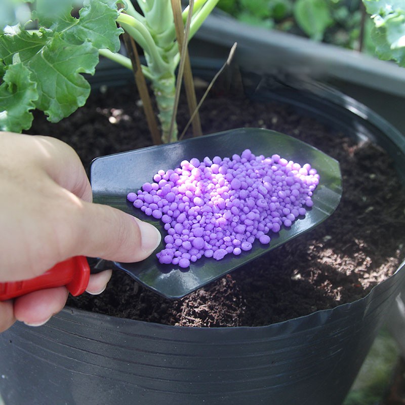 Phân Bón Kích Ra Hoa, Ra Trái, Nuôi Hoa, Nuôi Trái - MINRO NPK 15-5-20