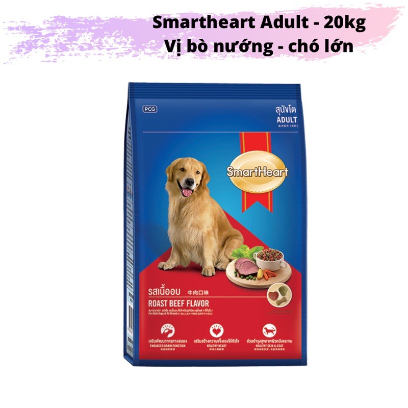 Smartheart Adult 20kg (50 gói 400gr) - Thức ăn hạt dành chó trưởng thành