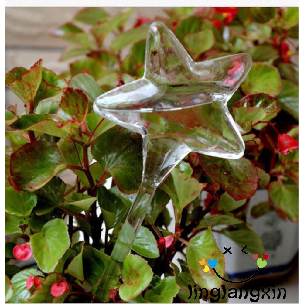 BღBღ✿New Glass Self Watering Plant Waterer 6 Types Plant Flowers Water Feeder