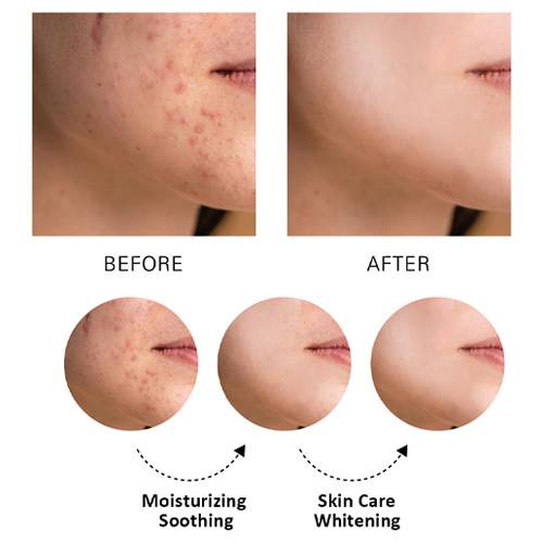 [Draetoc] Real Flex Vita Cream 50ml