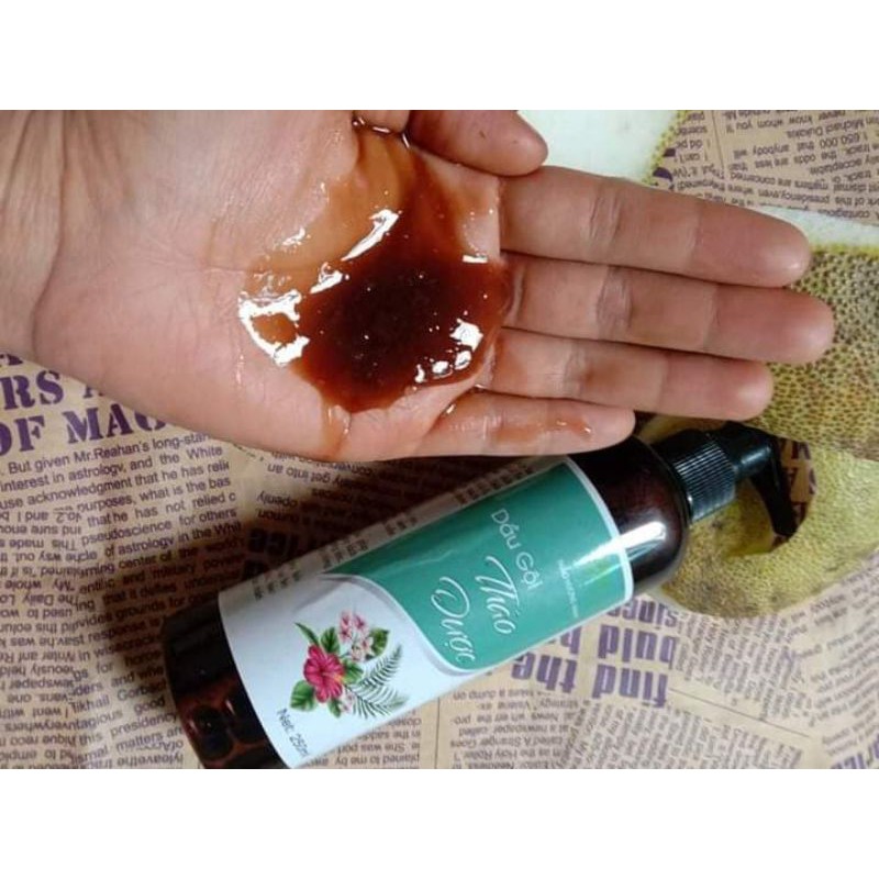 Dầu gội bồ kết thảo dược cô đặc xua tan rụng tóc,kích mọc dày tóc | BigBuy360 - bigbuy360.vn