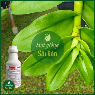 Phân Cá Hữu Cơ Đậm Đặc Fish Emulsion