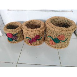 Chậu Cây Dừa Thiết Kế Thông Minh Tiện Dụng