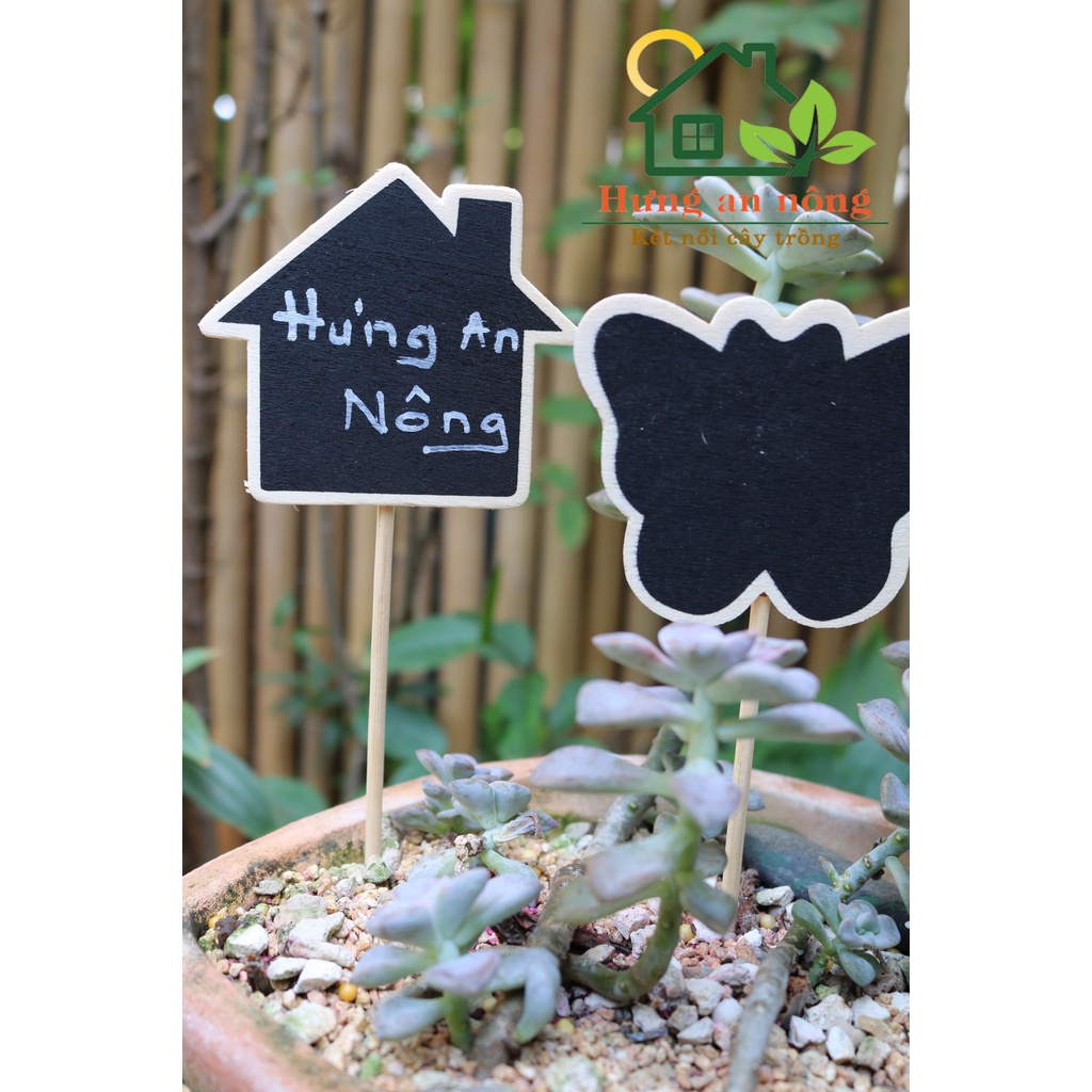 10 Thẻ trụ gỗ bản đen dùng ghi tên giống cây, trang trí hoặc làm ghi chú sự kiện, tiệc. size trung 17cm