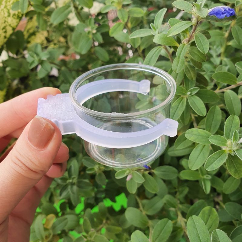 Cóng nhựa quai trắng cho mọi loại chim