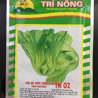 Hạt giống cải bẹ dưa (cải làm dưa chua)