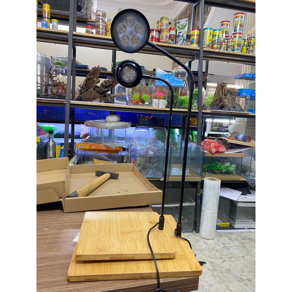 Đèn Led Rọi Đế Gỗ 3W - Ánh Sáng RGB