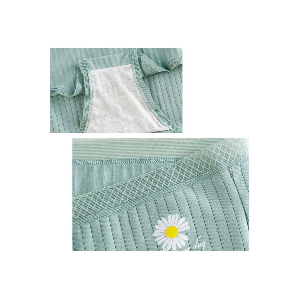 Quần Lót Cotton In Hình Hoa Cúc Xinh Xắn Cho Nữ | BigBuy360 - bigbuy360.vn