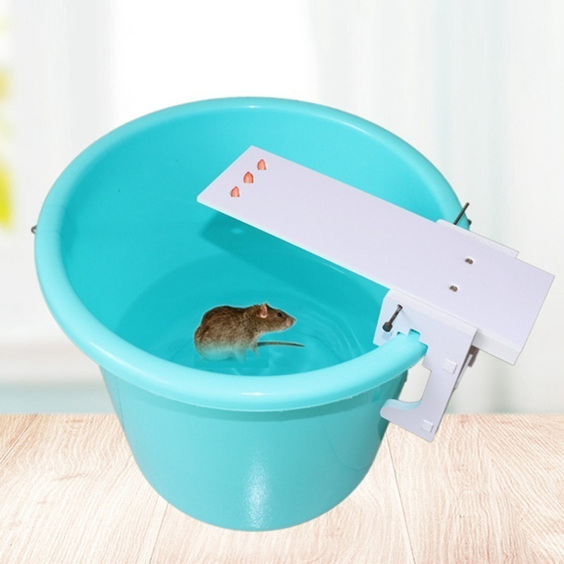 Bẫy Chuột Tự Lắp Ráp Chuyên Dụng Và Tiện Dụng | BigBuy360 - bigbuy360.vn