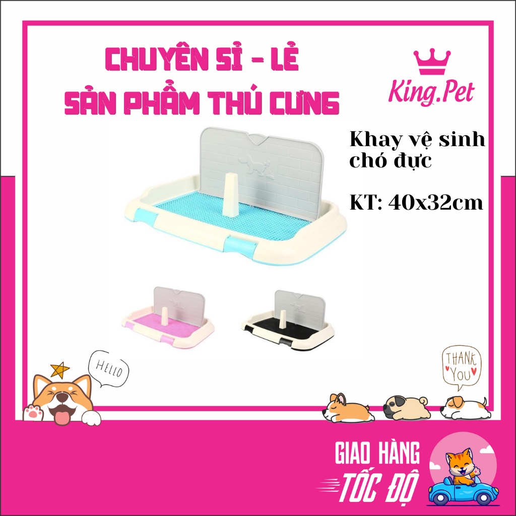 Khay Vệ Sinh Cho Chó Đực Có Tường Thành Chắn