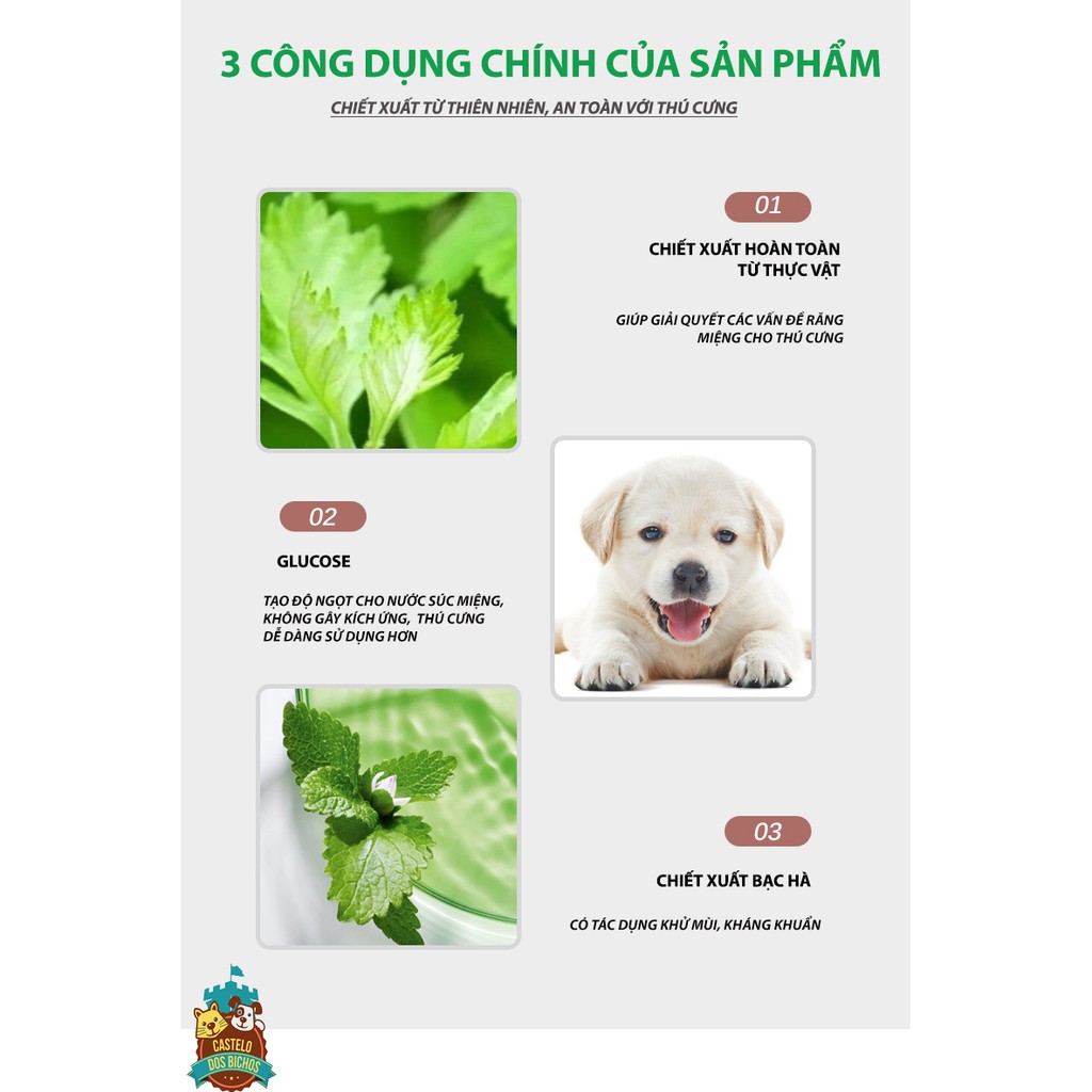 NƯỚC XÚC MIỆNG CHO THÚ CƯNG CAO CẤP HAIRBALL STARREN 500ML