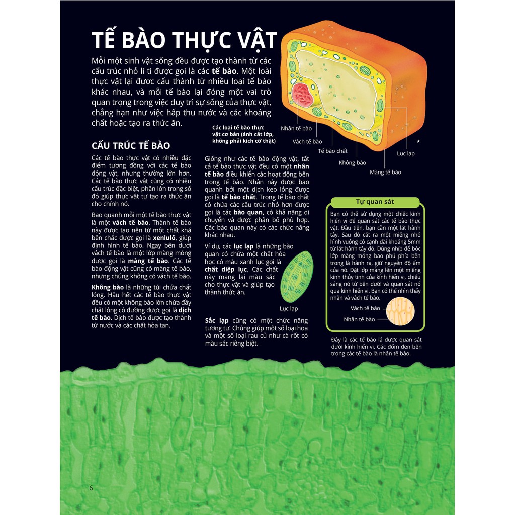 Sách - Science Encyclopedia - Bách Khoa Thư Về Khoa Học - Thực Vật Và Nấm