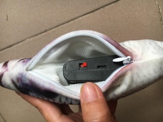 Cá sạc điện
