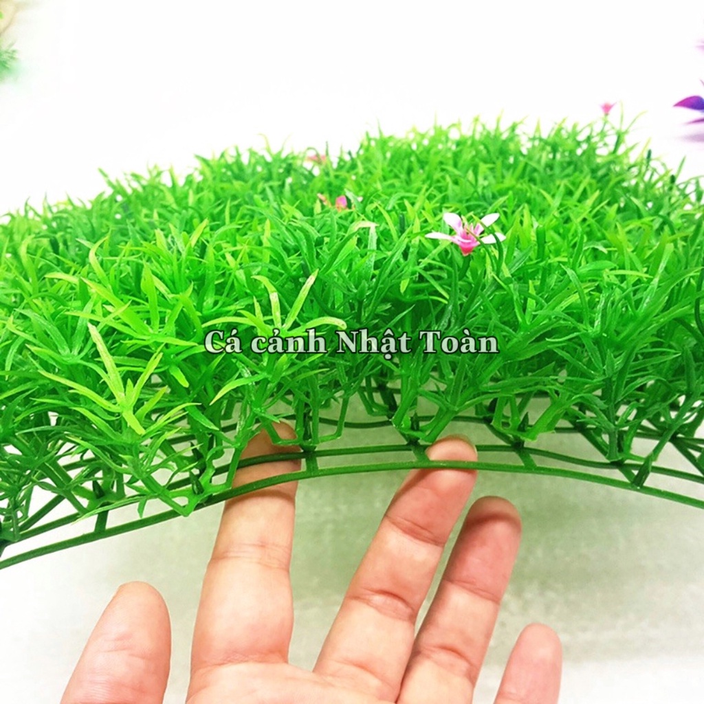 THẢM CỎ NHÂN TẠO BÔNG TRANG TRÍ HỒ CÁ TIỂU CẢNH 25X25CM
