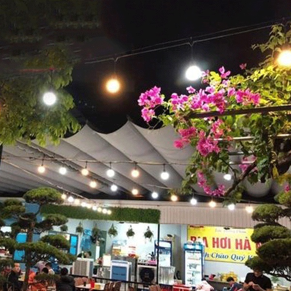 Dây đèn ping pong trang trí quán Cafe 5m 10 đui, 10m 20 đui chống nước ip67 dùng trang trí ngoài trời...