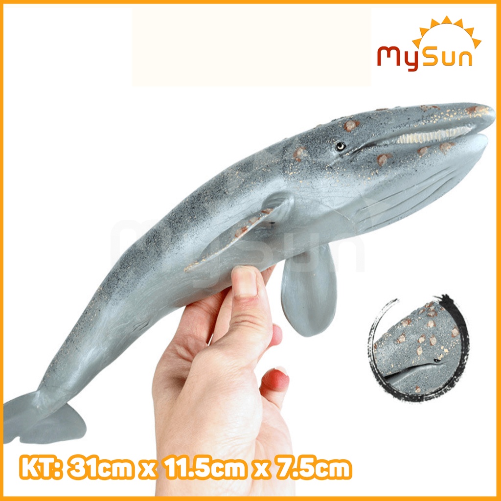 Bộ đồ chơi dạy học mô hình sinh vật cua biển, cá mập megalodon, cá voi xanh sát thủ cho bé MySun