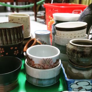 Ly gốm sứ nhật trồng sen đá