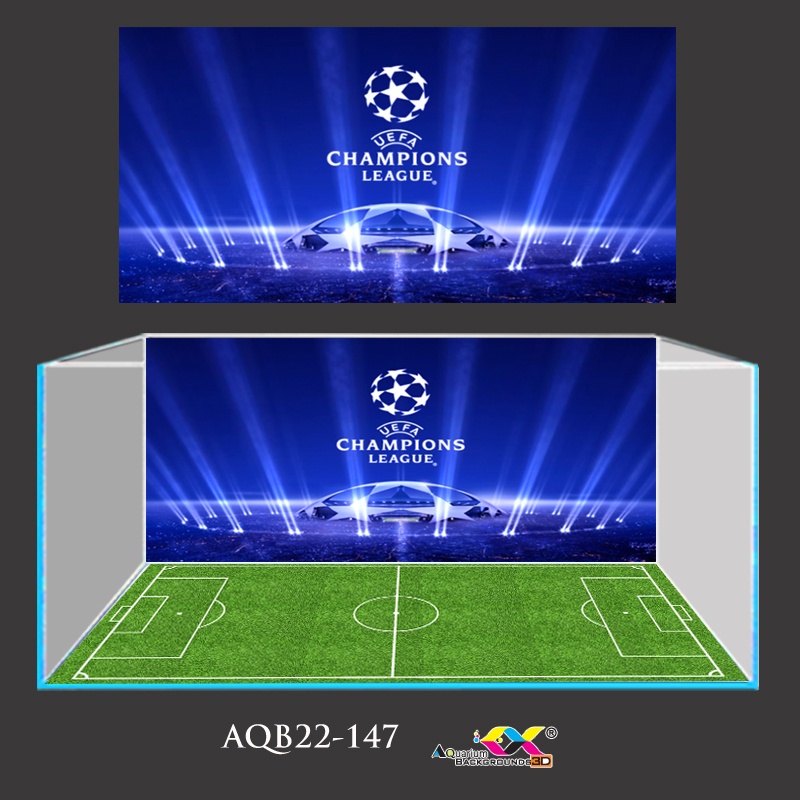 Tranh 3D Koifish - Tranh Dán Bể Cá - Sân Bóng UEFA Siêu Nét Siêu Đẹp
